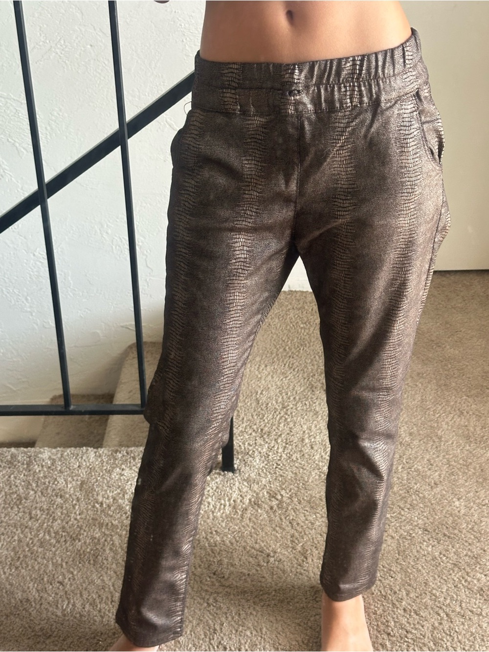 BEVY FLOG Metallic Bronze Skinny Pull-On Pants